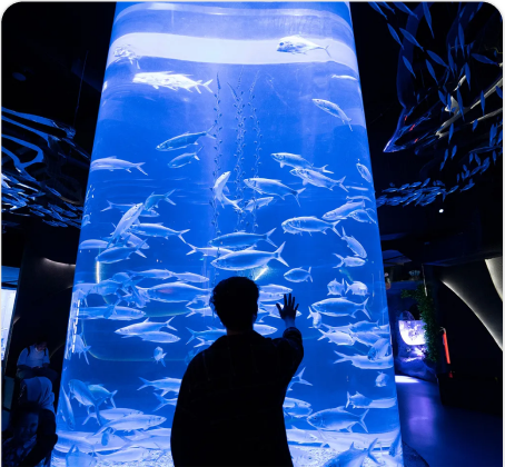 Tiket Jakarta Aquarium Safari