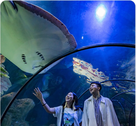 Tiket Sea World Ancol