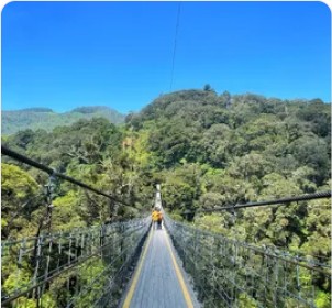 Tur Kawah Putih - Jembatan Gantung Rengganis